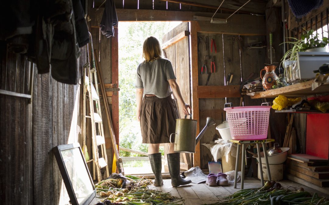 Elevate Your Garden Game with the Right Outdoor Storage Shed