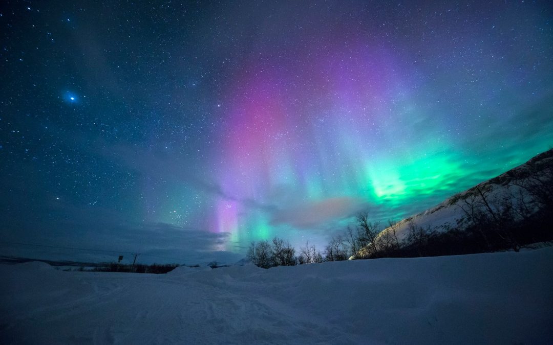 THE NORTHERN LIGHTS